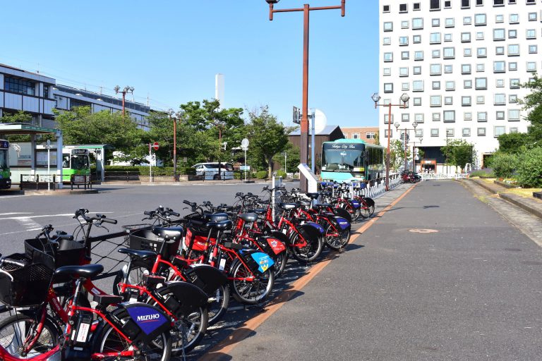 若洲 自転車