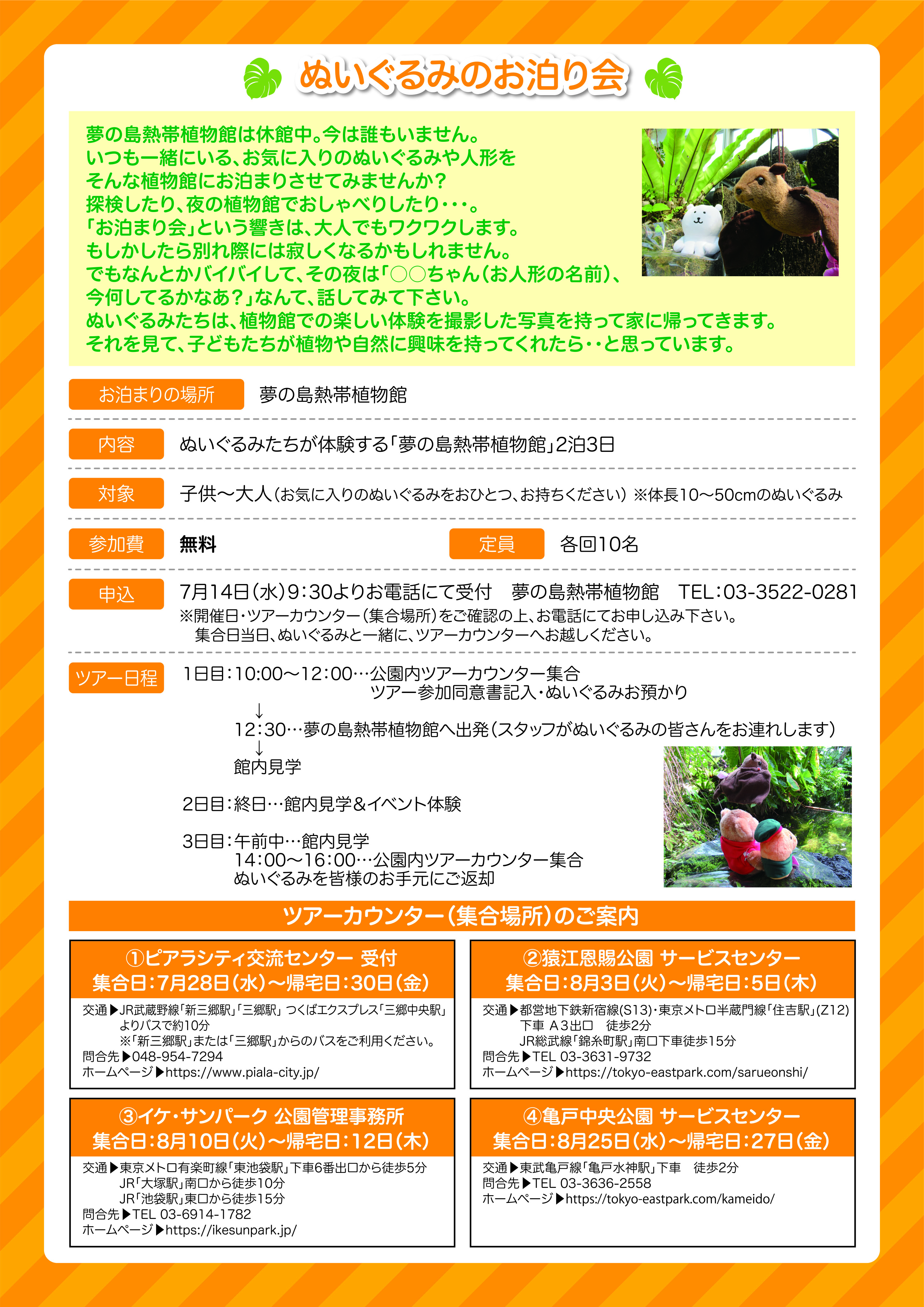 ぬいぐるみのおとまり会 21 In 夢の島熱帯植物館 を開催します 新木場 夢の島 若洲まっぷ 東京 地域情報発信サイト
